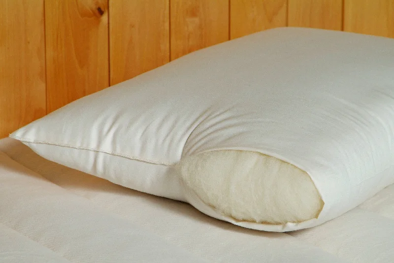 Plush Pillows for a Cozy BedNatural Child's Wool-Filled Bed Pillow
