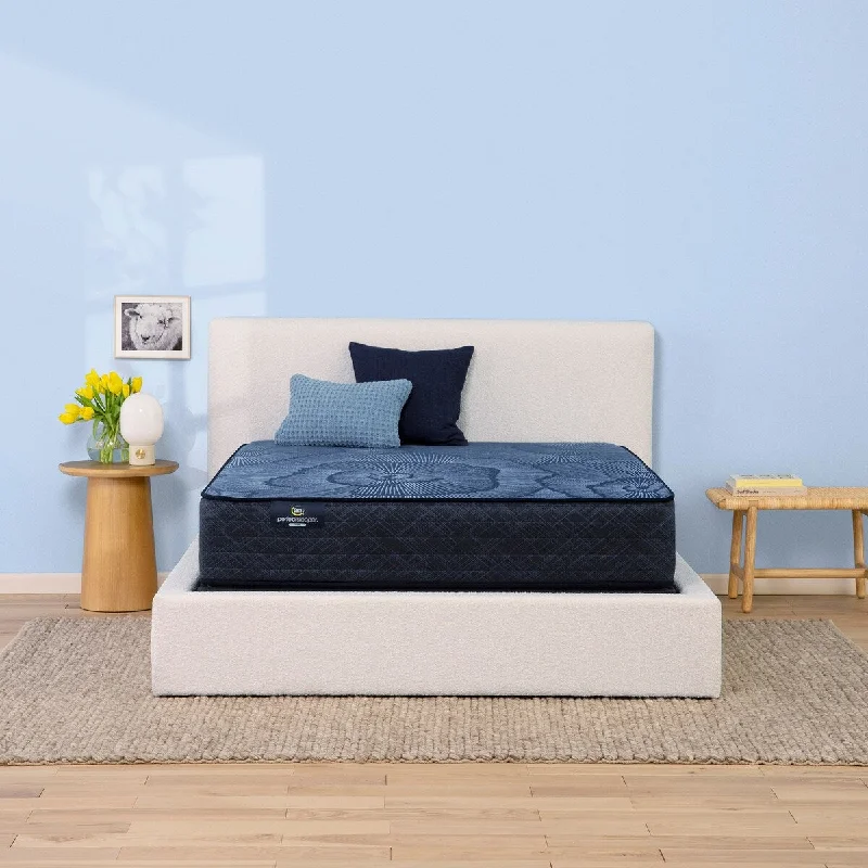 Polyester - foam mattresses for budget - friendly optionsSerta Perfect Sleeper Pacific Peace 12" Hybrid Medium Mattress Set Polyester - foam mattresses for budget - friendly optionsSerta Perfect Sleeper Pacific Peace 12" Hybrid Medium Mattress Set