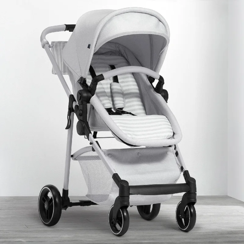 Grey Stripes (2359)