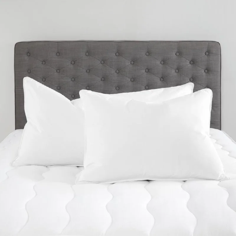 Silk Pillows for Smooth Skin and HairChamber Down Pillow (Chamberloft) Set of 2