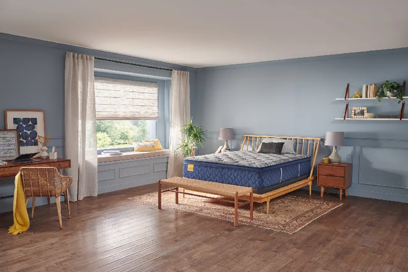 Polyester - foam mattresses for budget - friendly optionsSealy Bridgerton Soft Pillowtop Mattress Polyester - foam mattresses for budget - friendly optionsSealy Bridgerton Soft Pillowtop Mattress