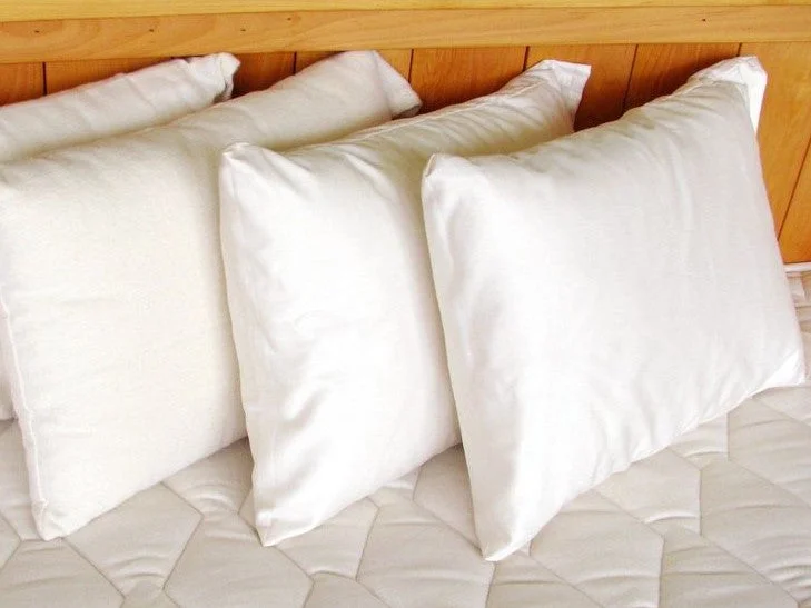 Kids Pillows with Fun DesignsCertified Organic Travel Pillow