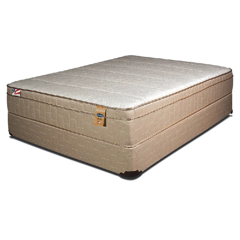 Hybrid mattresses combining foam and innerspring technologyFurniture of America Englander 13-inch California King-size Euro Top Mattress Hybrid mattresses combining foam and innerspring technologyFurniture of America Englander 13-inch California King-size Euro Top Mattress