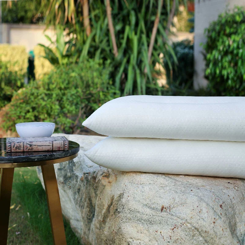 Down Alternative Pillows for Ethical ChoicesBamboo Bliss Filled Pillow